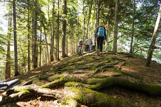 6 Day Tour - Trekking, Rafting, Jeep safari and Canyoning - Day 4: Trekking to heart-shaped Trnovačko Lake