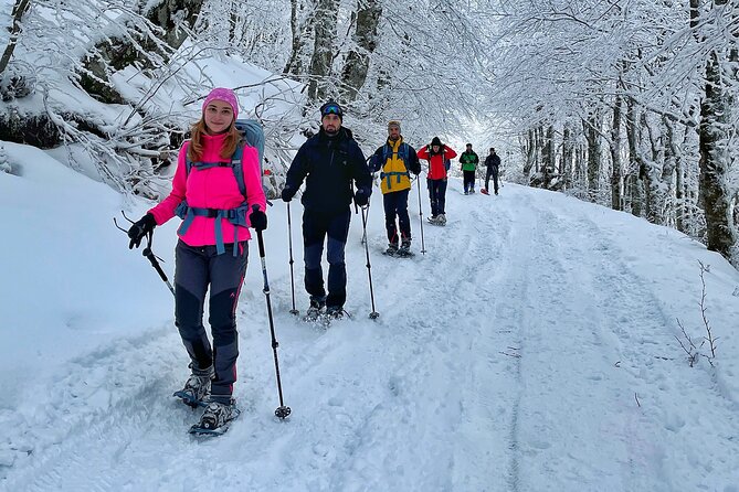 Experience Snowshoeing in Olympic Mountain Bjelašnica - The Kolijevka trail and the climb toward Heliodrom