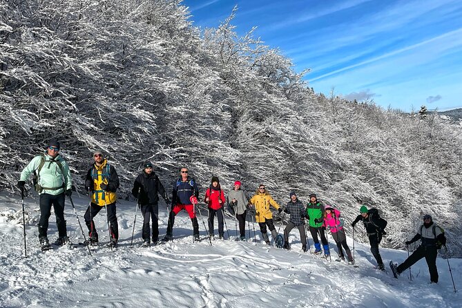 Experience Snowshoeing in Olympic Mountain Bjelašnica - Learning to walk on snowshoes