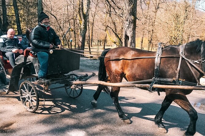 From Sarajevo: Bijambare Cave and Spring of River Bosna Tour - Vrelo Bosne, where the River Bosna begins