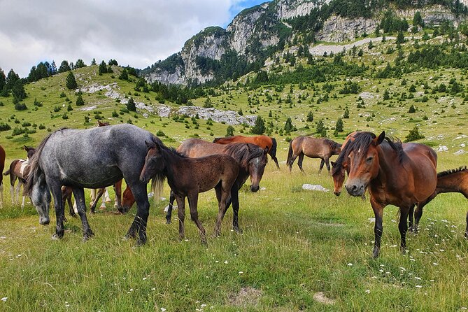 Hiking Prenj, Velika Kapa - Returning to Konjic for showers and transport
