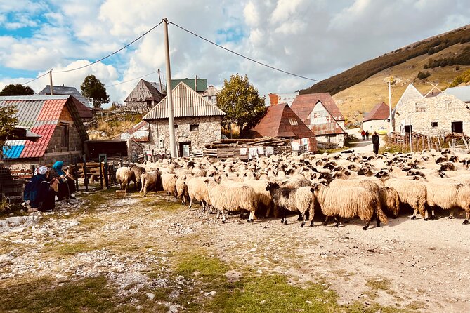 LUKOMIR VILLAGE HIKE & TREK TOUR (nature, hike, food & panorama) - The ride back to Sarajevo