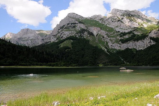 Mystical Sutjeska National Park - Booking, weather, and cancellation details