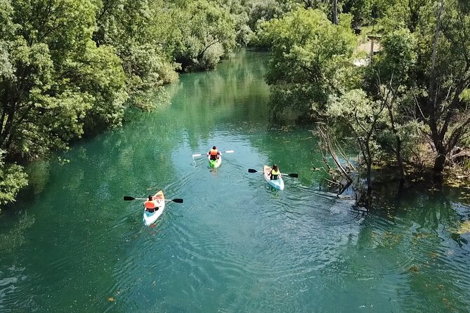 Safari kayak adventure w BBQ & Beer - What the Bunica River is really like