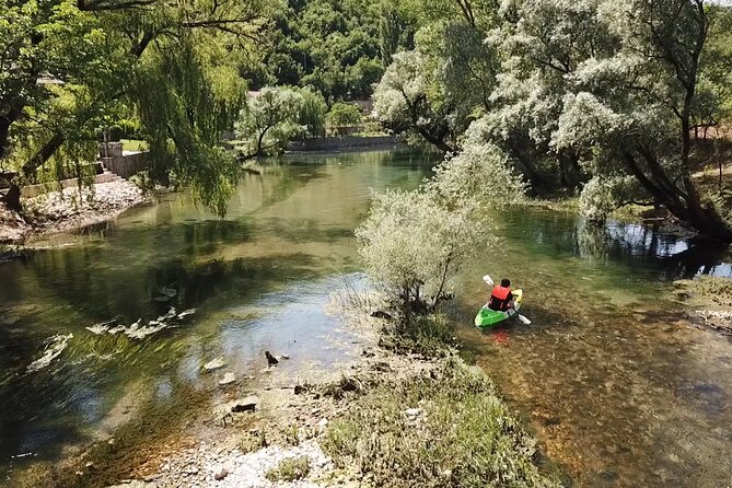 Safari kayak adventure w BBQ & Beer - How much value do you get for $52.68?