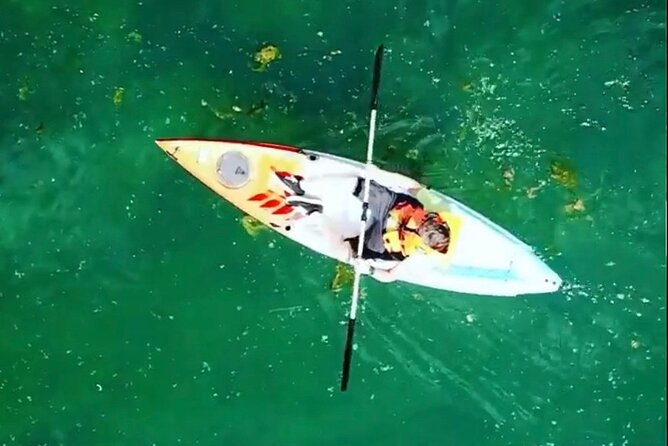 Safari kayak adventure w BBQ & Beer - Who should book this outing?