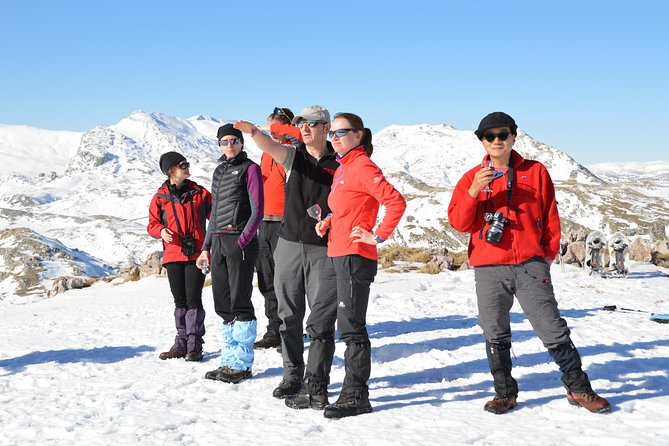 Sarajevo Snowshoeing Adventure - Snowshoeing through beech forest near Visocica