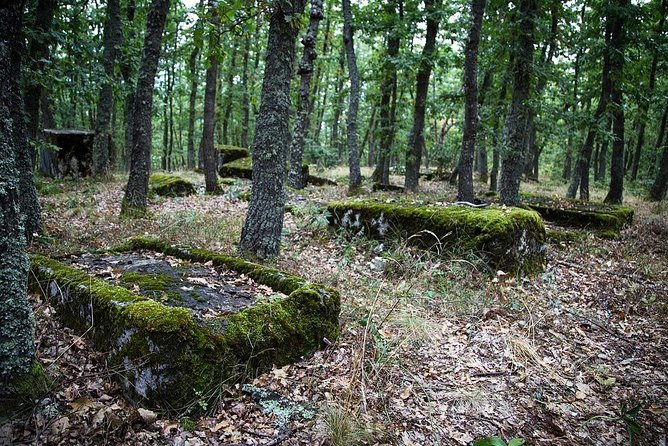 Sarajevo to/from Belgrade UNESCO Transfer Day Tour (Fees Incl.) - Tara National Park and Banjska Stena