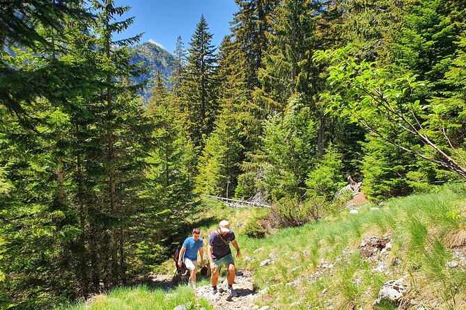 Sutjeska National Park Hike from Sarajevo - Transport, group size and the practical trade-offs